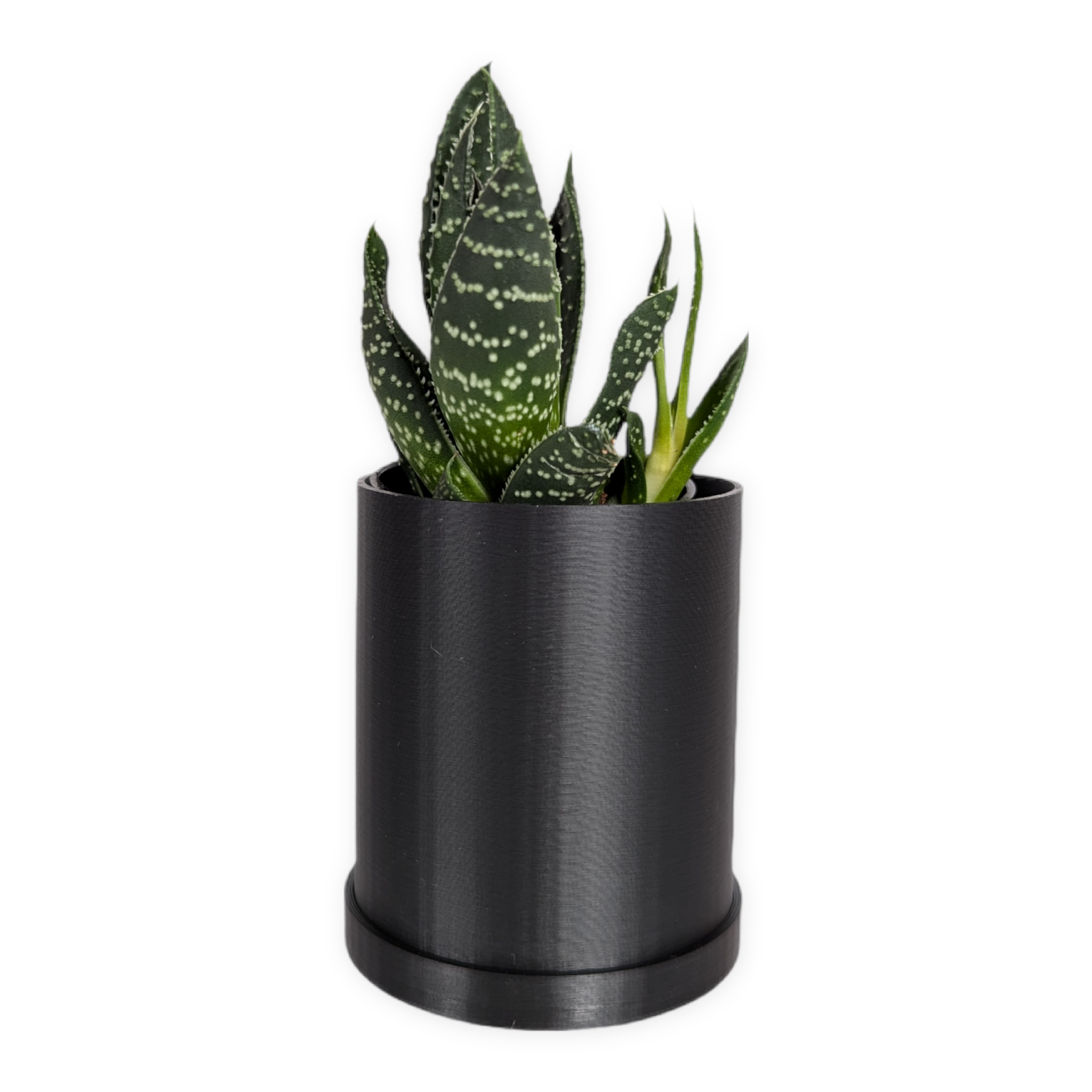 Leafprints.3d - Wholesale Plant Pot - The Pebble – 2 Inch Planter with Drip Tray0