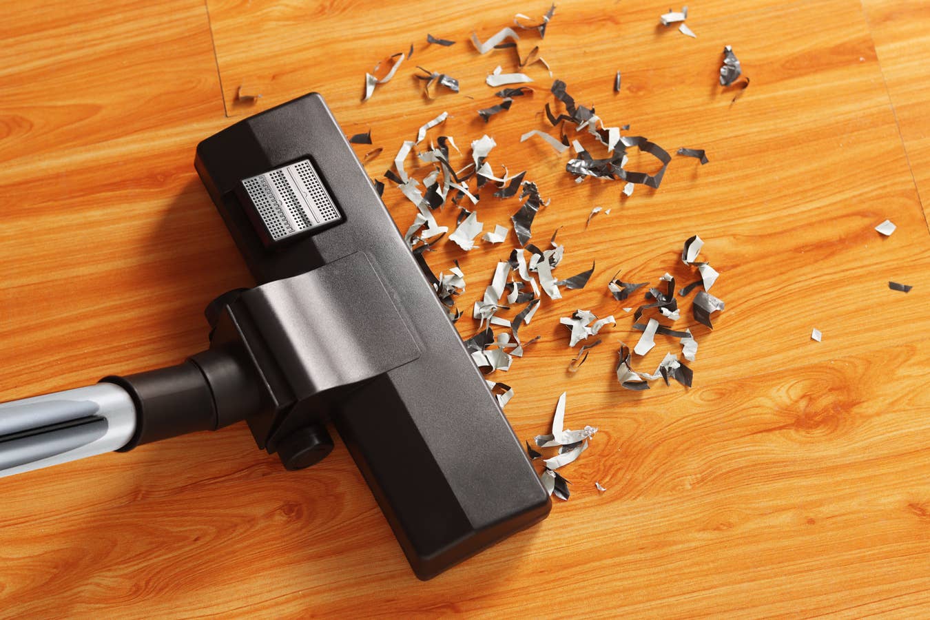 Swiss Pro+ - Venta al por mayor Aspiradora - Aspiradora ciclónica roja Swiss Pro+13