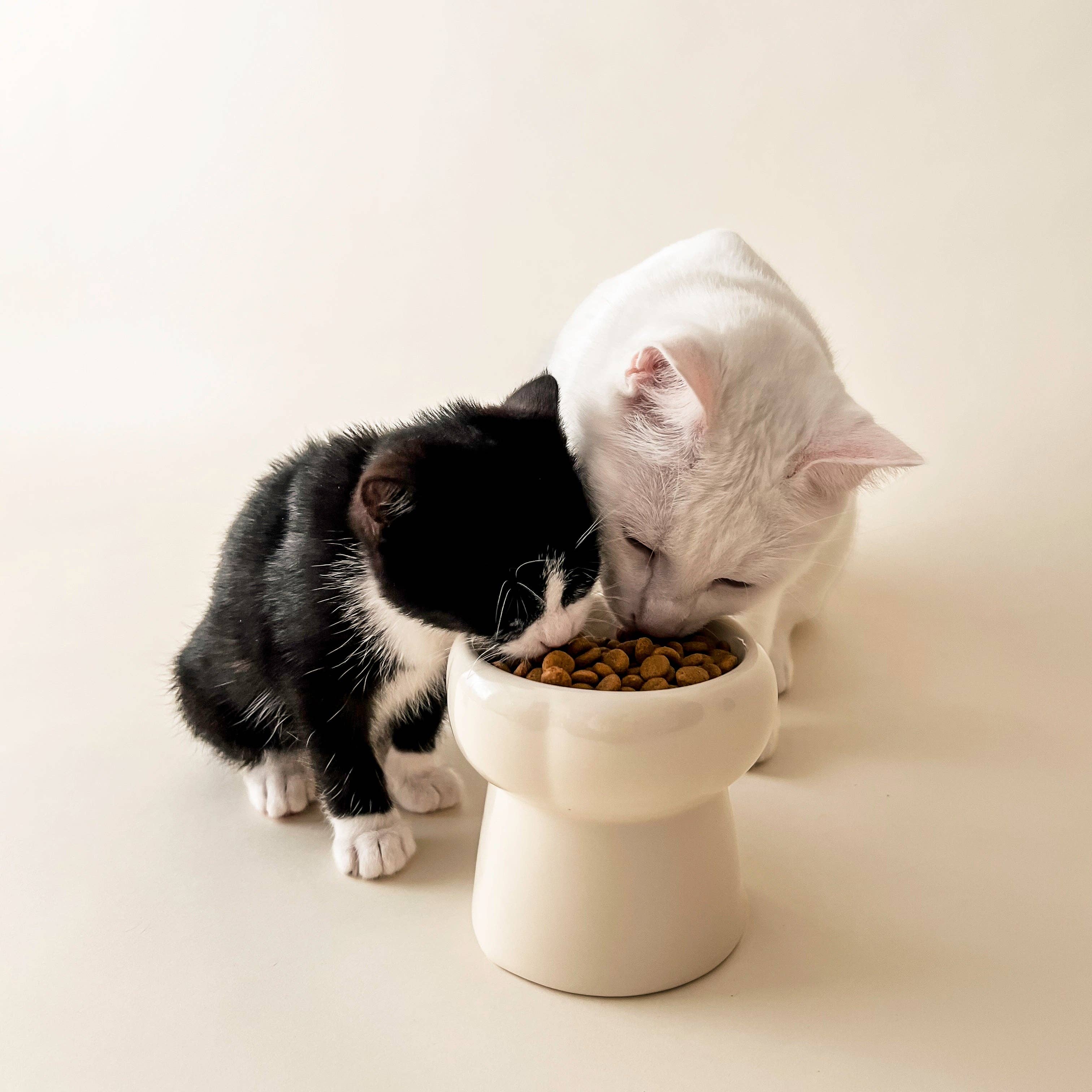 Beige Creamy Food Bowl for wholesale on Faire1