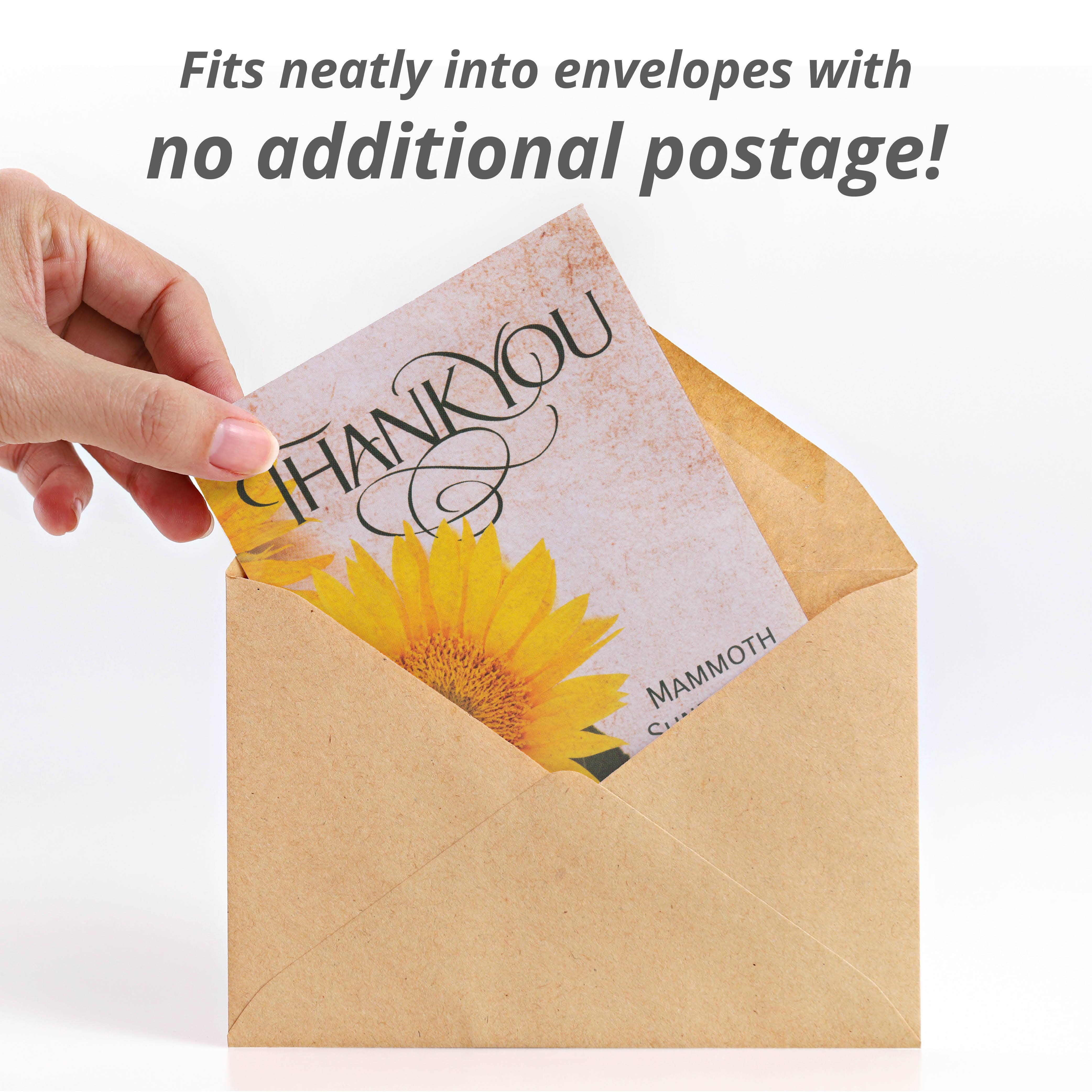 Bentley Seed Co. - Wholesale Thank You Card - Thank You - Mammoth Sunflower2