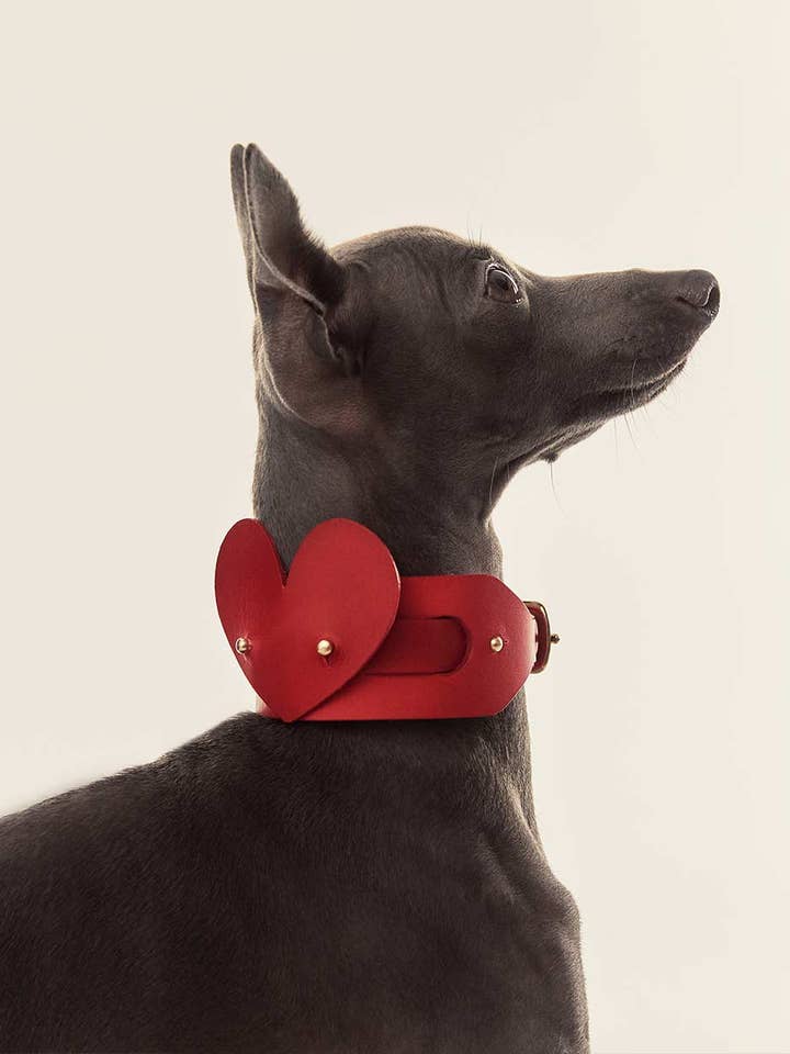 Coração para cachorro · Vermelho por atacado de INDÓMITO