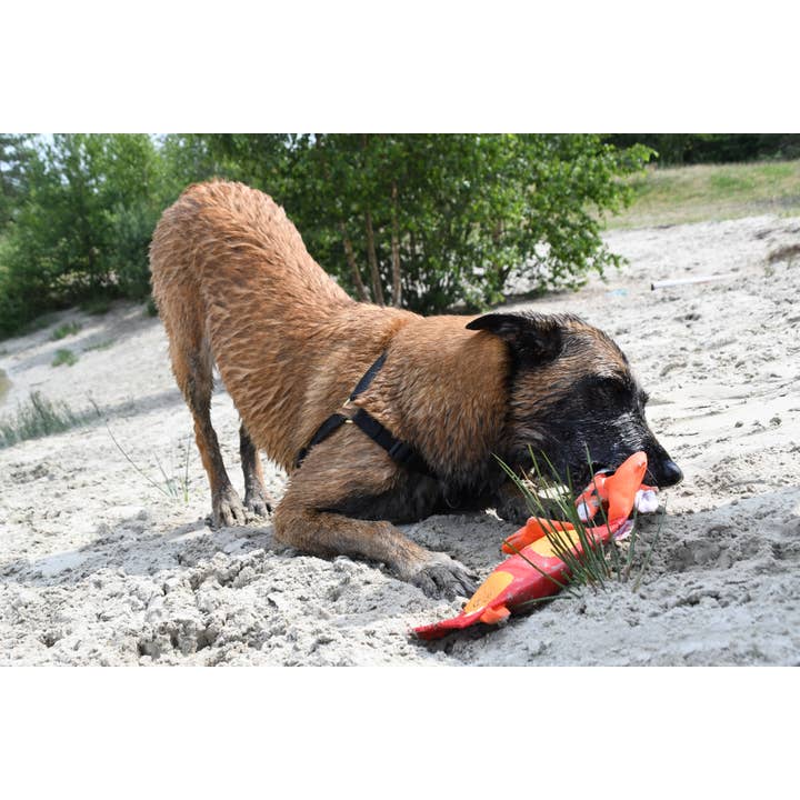 Hofman Animal Care - Wholesale Pet Plush Toy - Dog - Hozies Jeffrey Jungle Small2