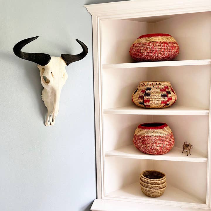 OUTPOST ORIGINAL - Wholesale Wall Accent - African Natural Wildebeest Horn - Full Skull