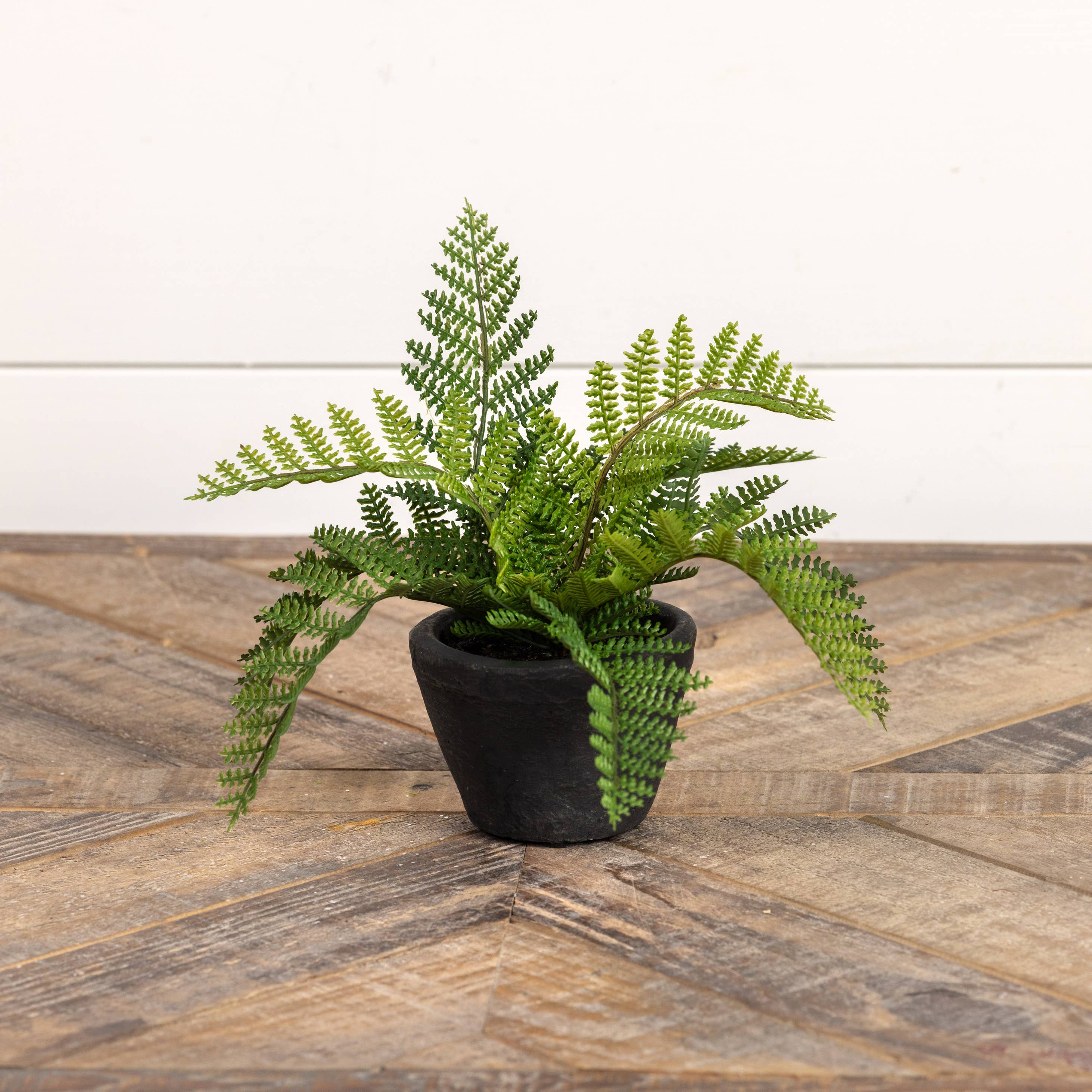 Ragon House - Wholesale Artificial Plant - 9" HAY-SCENTED FERN IN CHARCOAL CERAMIC POT1