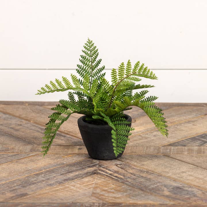 Ragon House - Wholesale Artificial Plant - 9" HAY-SCENTED FERN IN CHARCOAL CERAMIC POT1