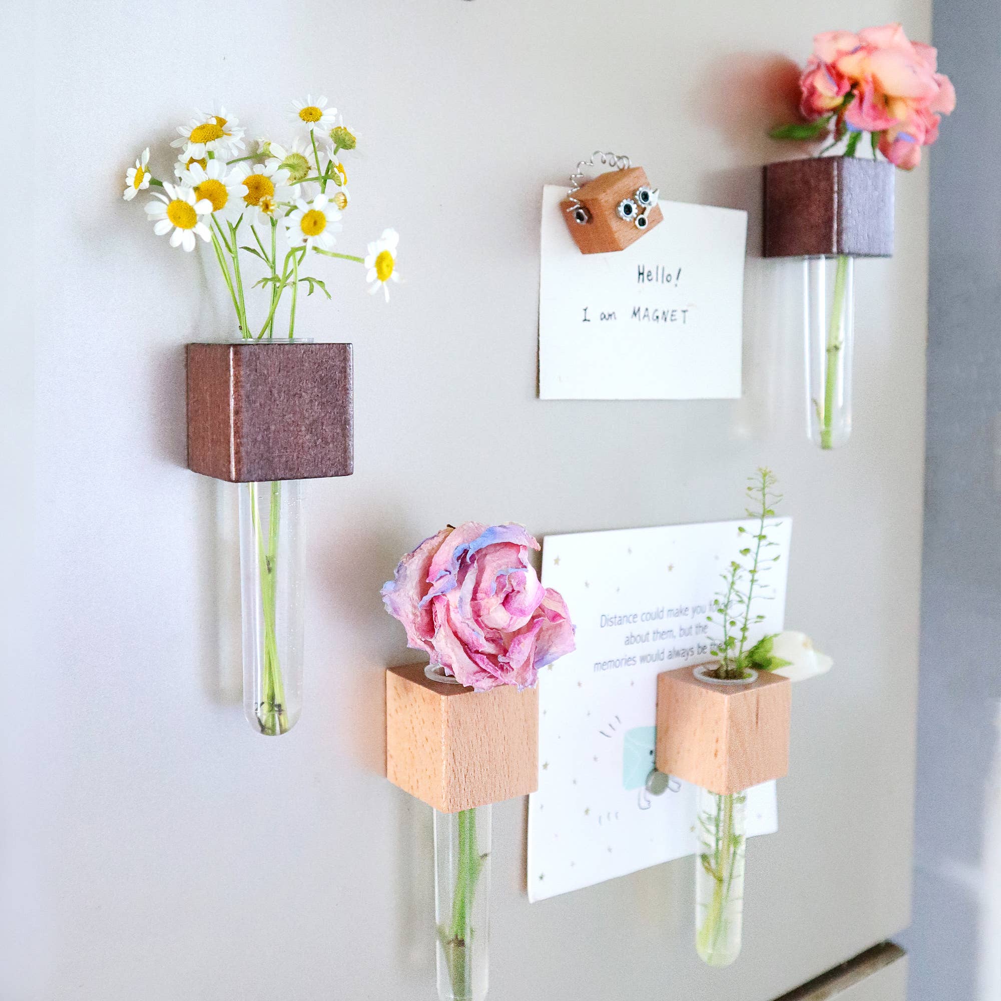 Kitsville - Vendita all'ingrosso Calamite - Mini vasi magnetici – Set di 2 – Magneti decorativi per frigorifero6