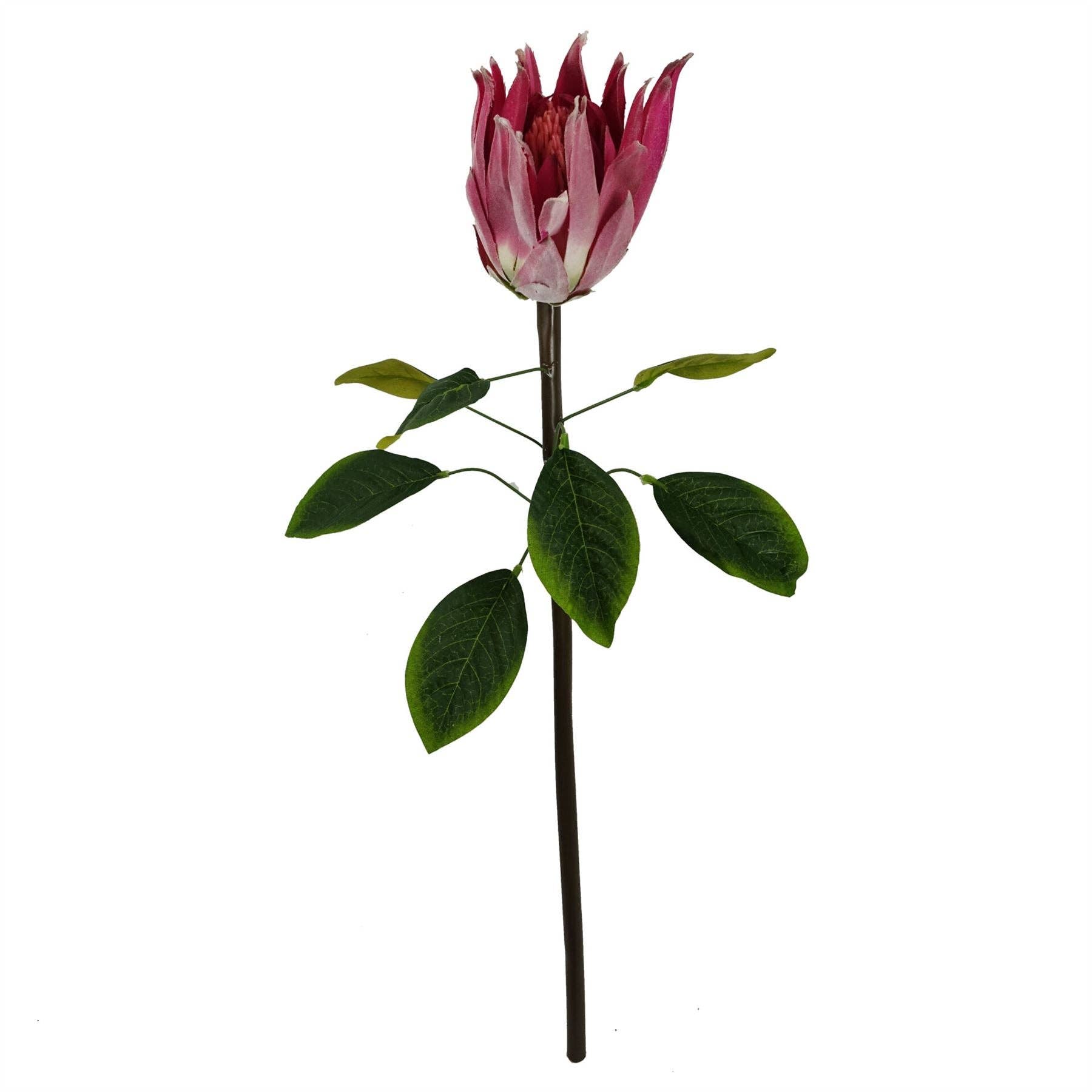 Leaf Design UK LTD – wholesale Artificial flowers – Pack of 6 x 65cm Protea Sugarbush Flower Stem - Pink2