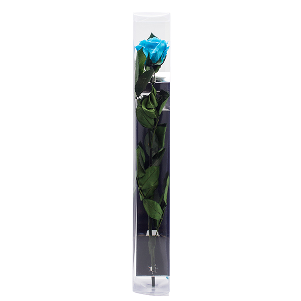 Concari.flores Preservadas - Wholesale Artificial Flowers - ROSE WITH PRESERVED STEM2