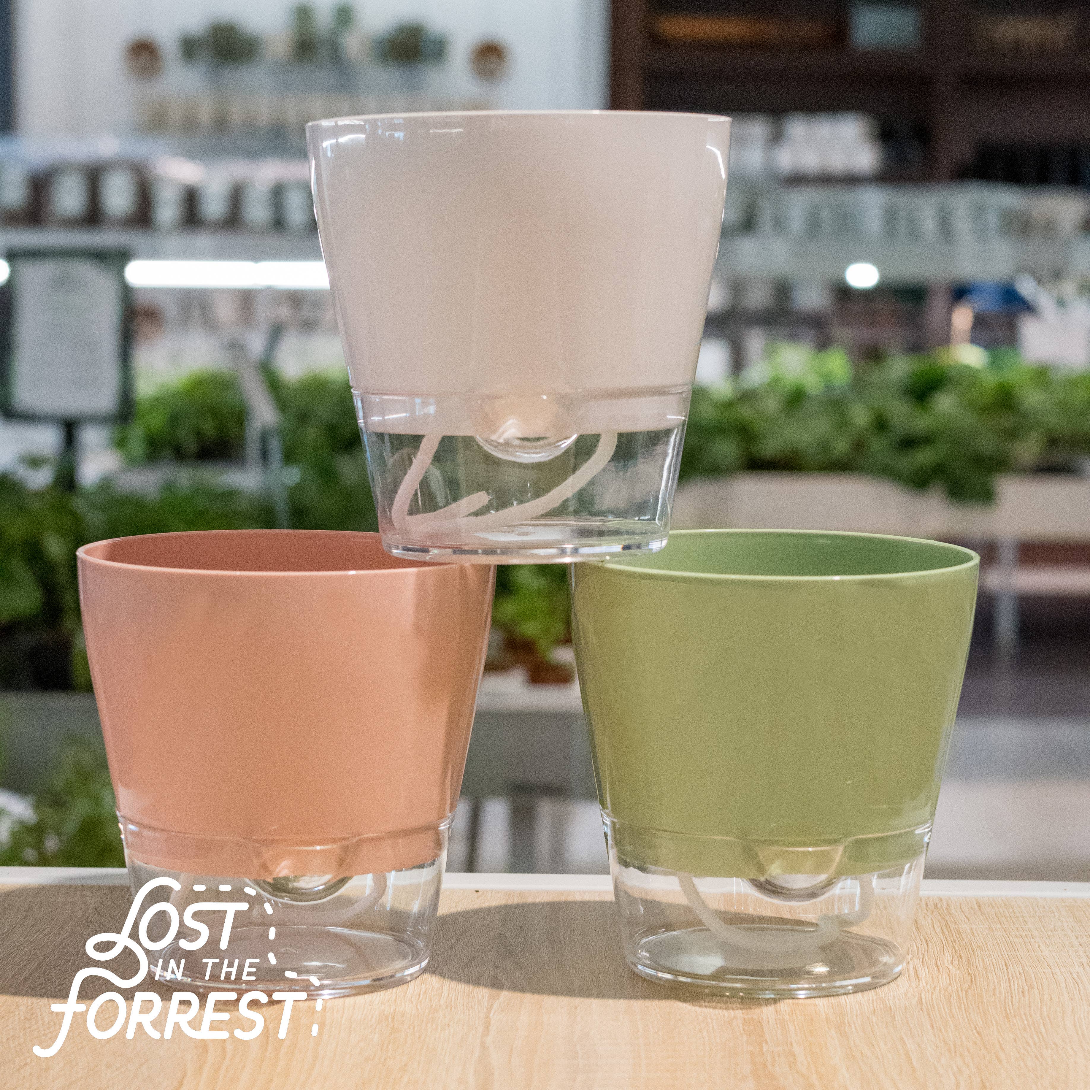 Lost in the Forrest - Vendita all'ingrosso Vasi per piante - Fioriera autoirrigante Padua 6"2