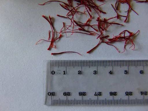 Royal Brand - Wholesale Dried Spice - SZAFRAN SARGOL 5g CZERWONE NITKI1