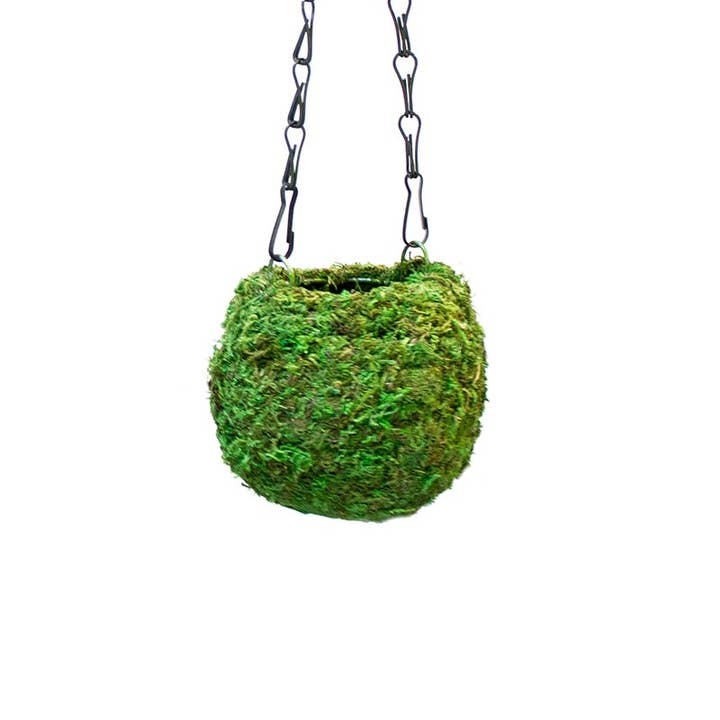 Kokedama, Fresh Green for wholesale on Faire