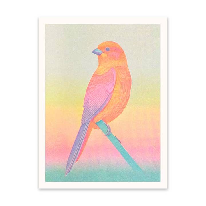 Neon Ombre Bird Riso Print (8x6) (10930) for wholesale by Ohh Deer UK + EU