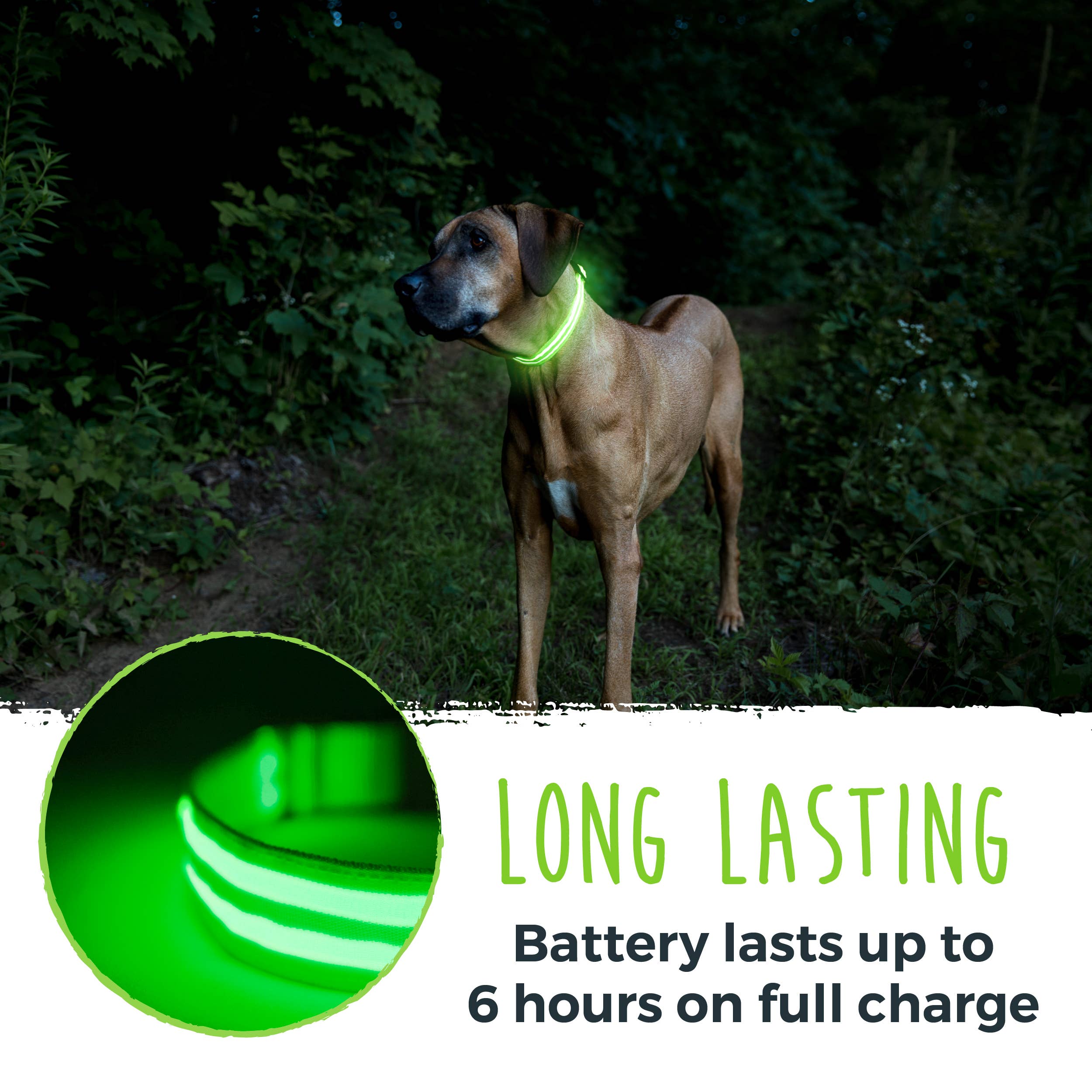 Mighty Paw – Engroshandel Halsbånd - Hund – Mighty Paw LED-hundesnor med sikkerhedsbelysning7