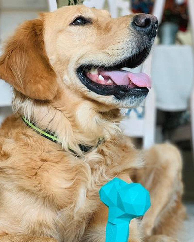 PAWZ - Wholesale Pet Chew Toy - Dog - Rubber Bone Dog Toy1