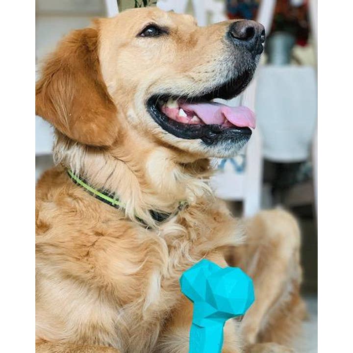 PAWZ - Wholesale Pet Chew Toy - Dog - Rubber Bone Dog Toy1