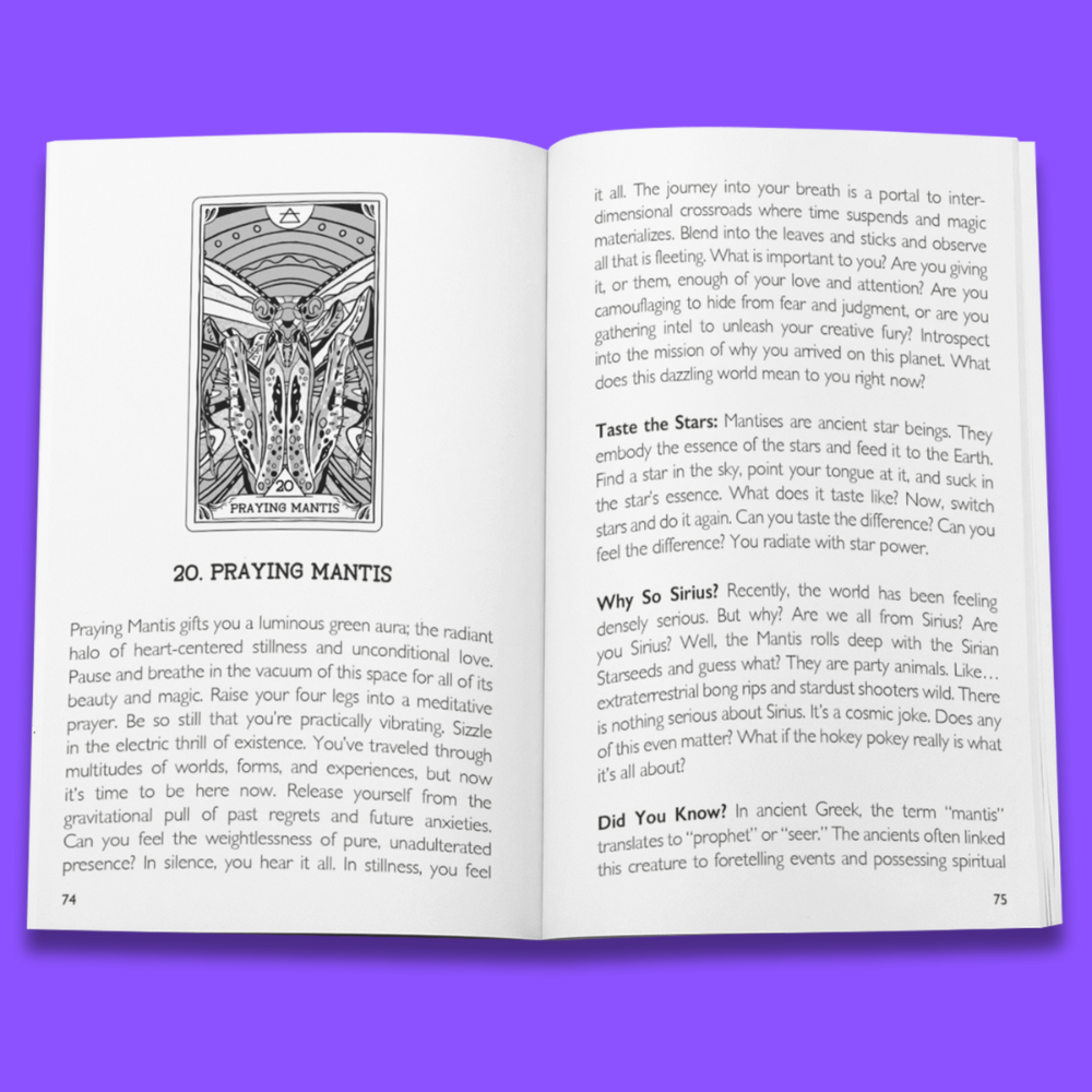 Rage Create - Wholesale Tarot/Oracle Card - The Beasties Oracle Deck5