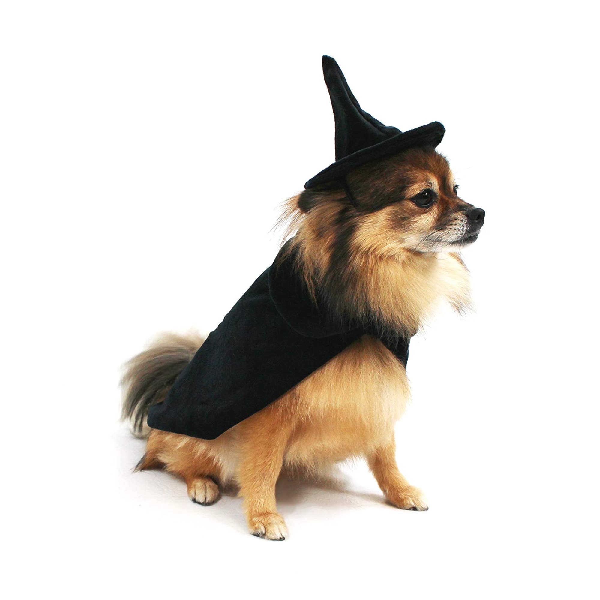 Midlee Designs - Venta al por mayor Disfraz - Perros - Disfraz de capa y sombrero de bruja para perro Midlee Halloween5