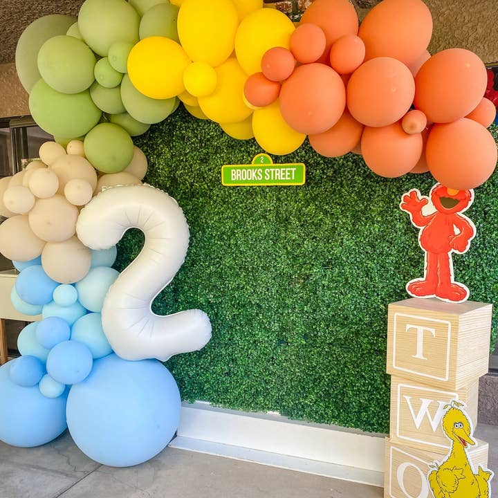 Ellie's Party Supply - Wholesale Balloon - Sesame Street Balloon Arch - Blue Orange Yellow Green Balloon Garland Kit1