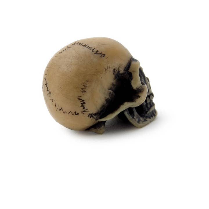 Alchemy Of England (Alchemy USA Distributor) - Wholesale Ornament - Lapillus Worry Skull (Table Ornament)2