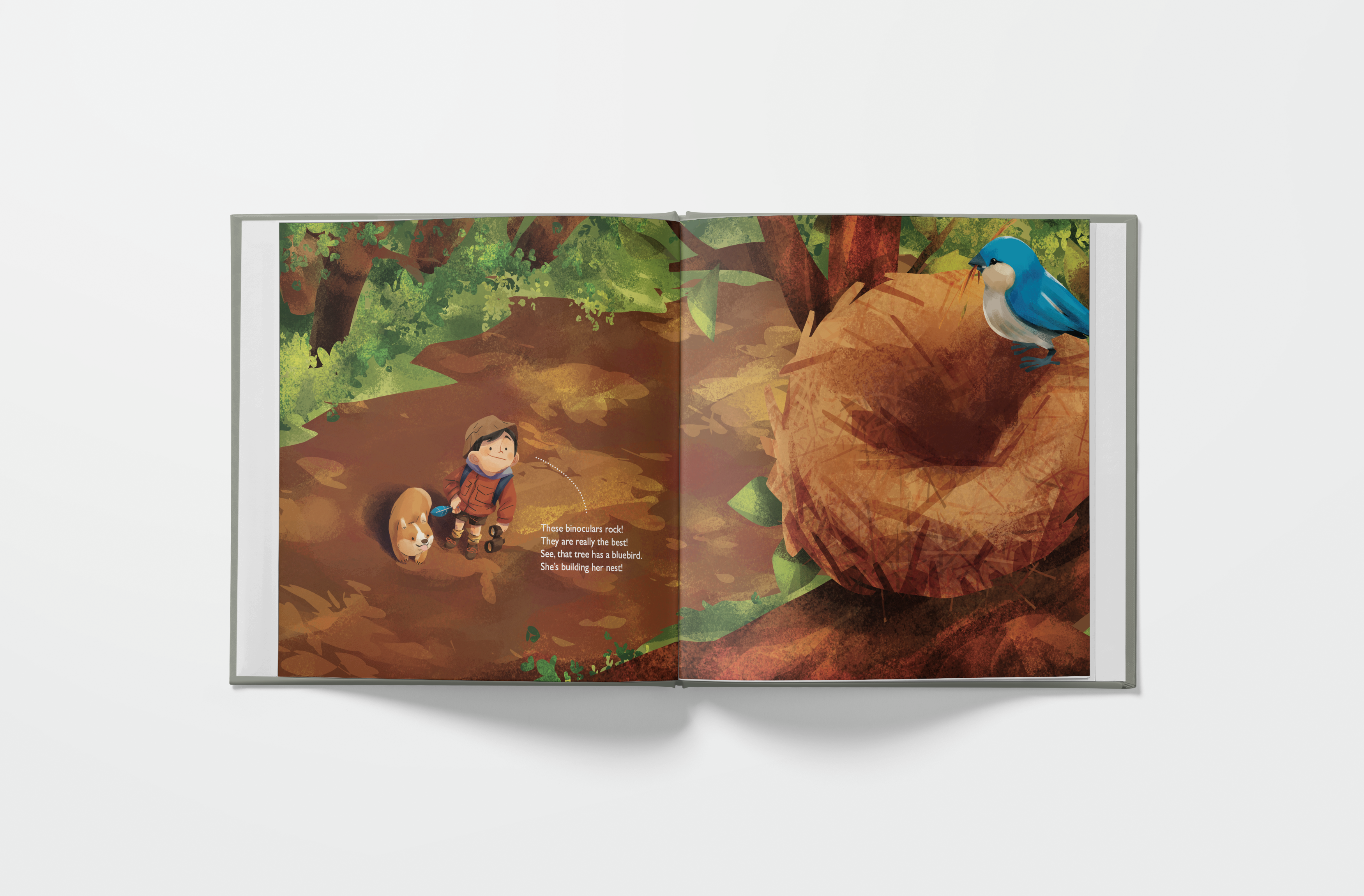 Lychee Press - Wholesale Preschool Book (3-5) - Let’s Go on a Hike! A Mindfulness Nature Picture Book4
