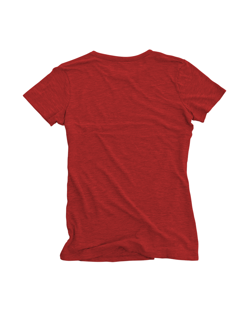 GOEX Apparel - Wholesale T-Shirt - Women's - Ladies Short Sleeve Triblend Tee1