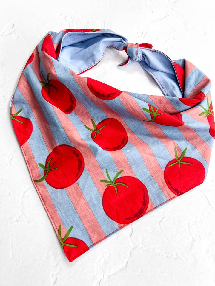 Tomato Bandana Blue & Pink for wholesale by Velvet Outlaw