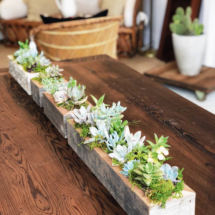 Alibi Interiors - Vendita all'ingrosso Fioriere - Fioriera in legno recuperato 2x14 Sevensie7