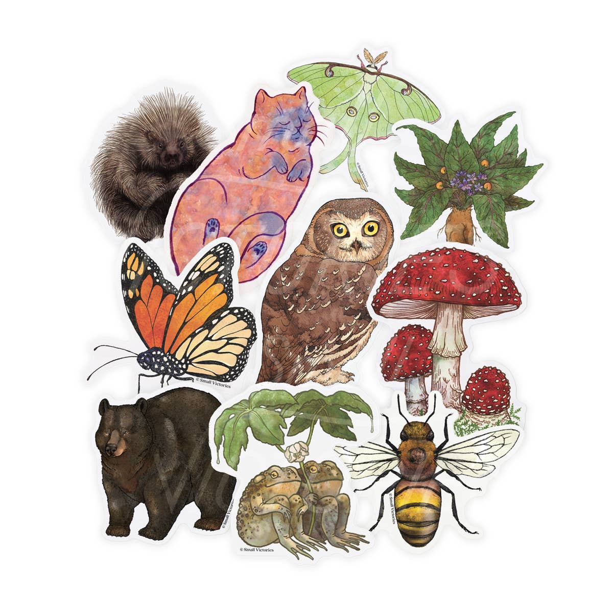 Small Victories - Wholesale Sticker - Eco-Sticker: Monarch Butterfly2