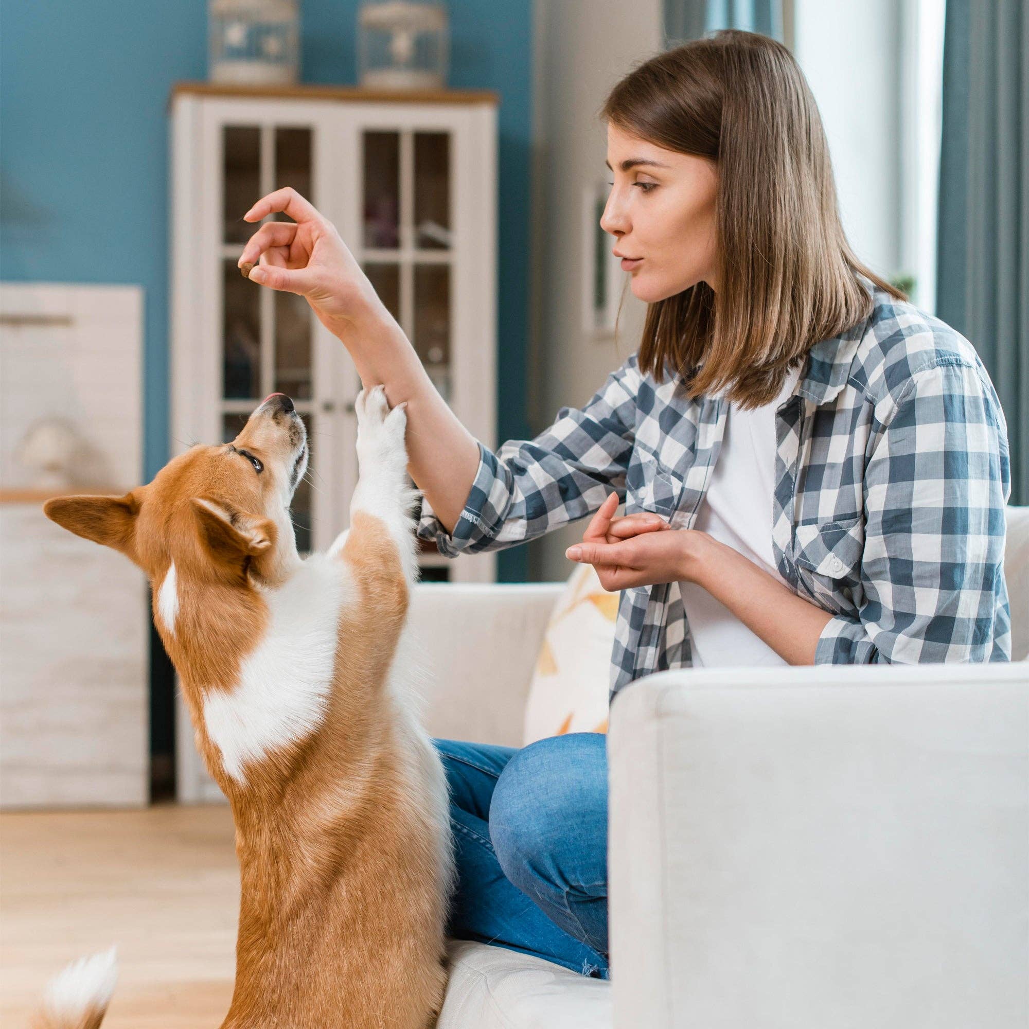 Dogline - Vente Compléments alimentaires – chien - Breath Aid à la cannelle pour chiens en pot de 9 oz (120 unités)5