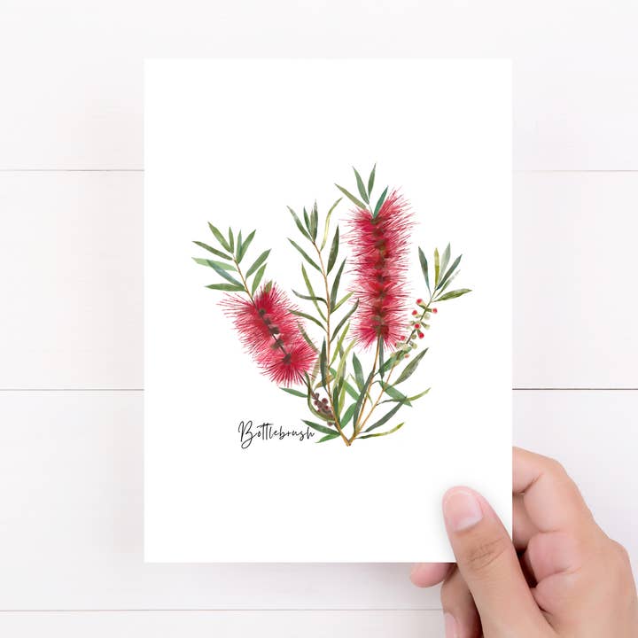 AGCC1001: Rojo: Tarjeta Bottlebrush Flower para venta al por mayor de Australiana Gifts Co
