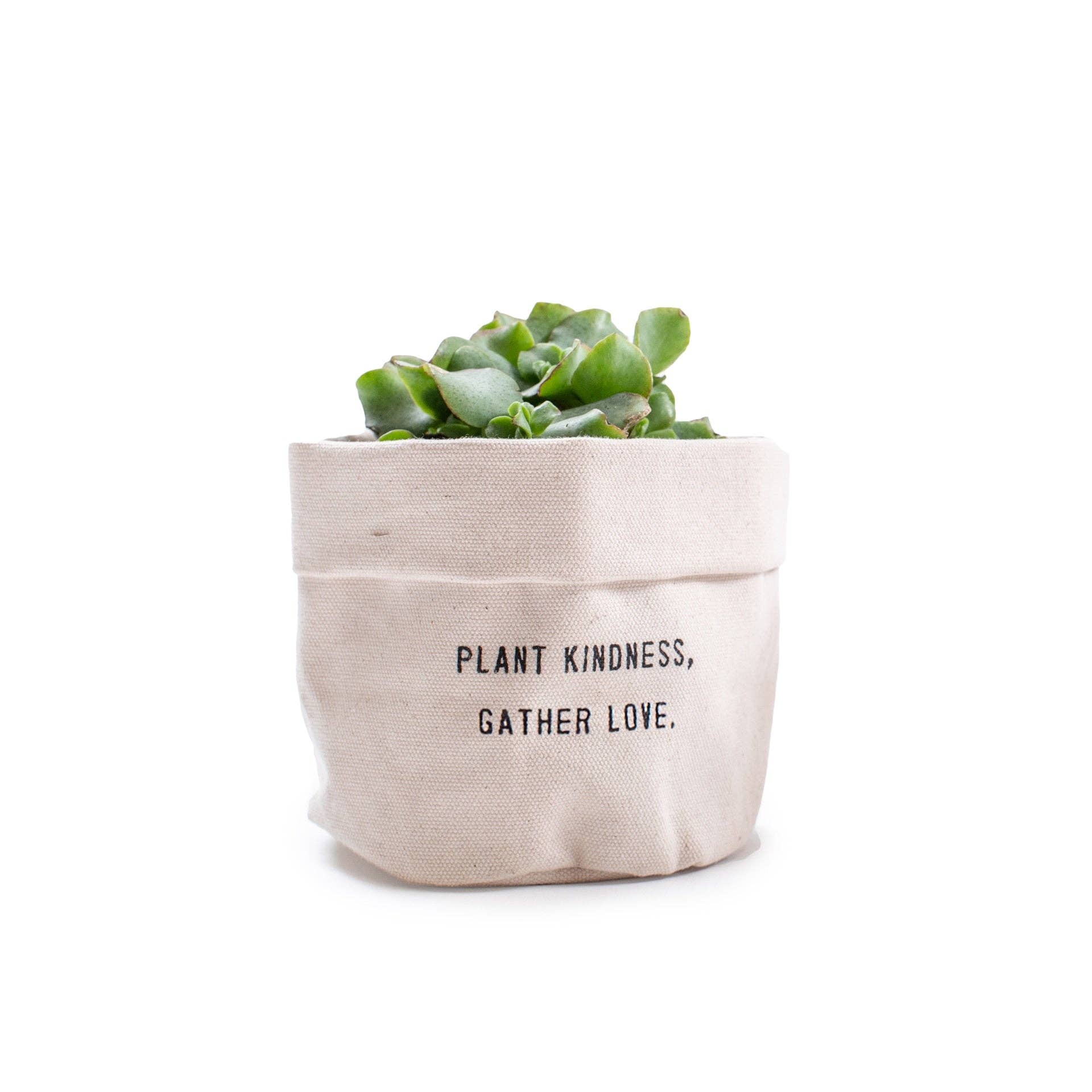 Sugarboo & Co - Wholesale Plant Pot - ***Plant Kindness Gather Love - Small Canvas Planter