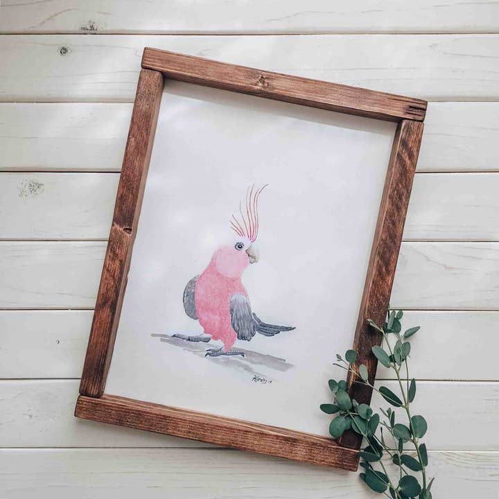 Cockatoo for wholesale by Optical Lift, LLC