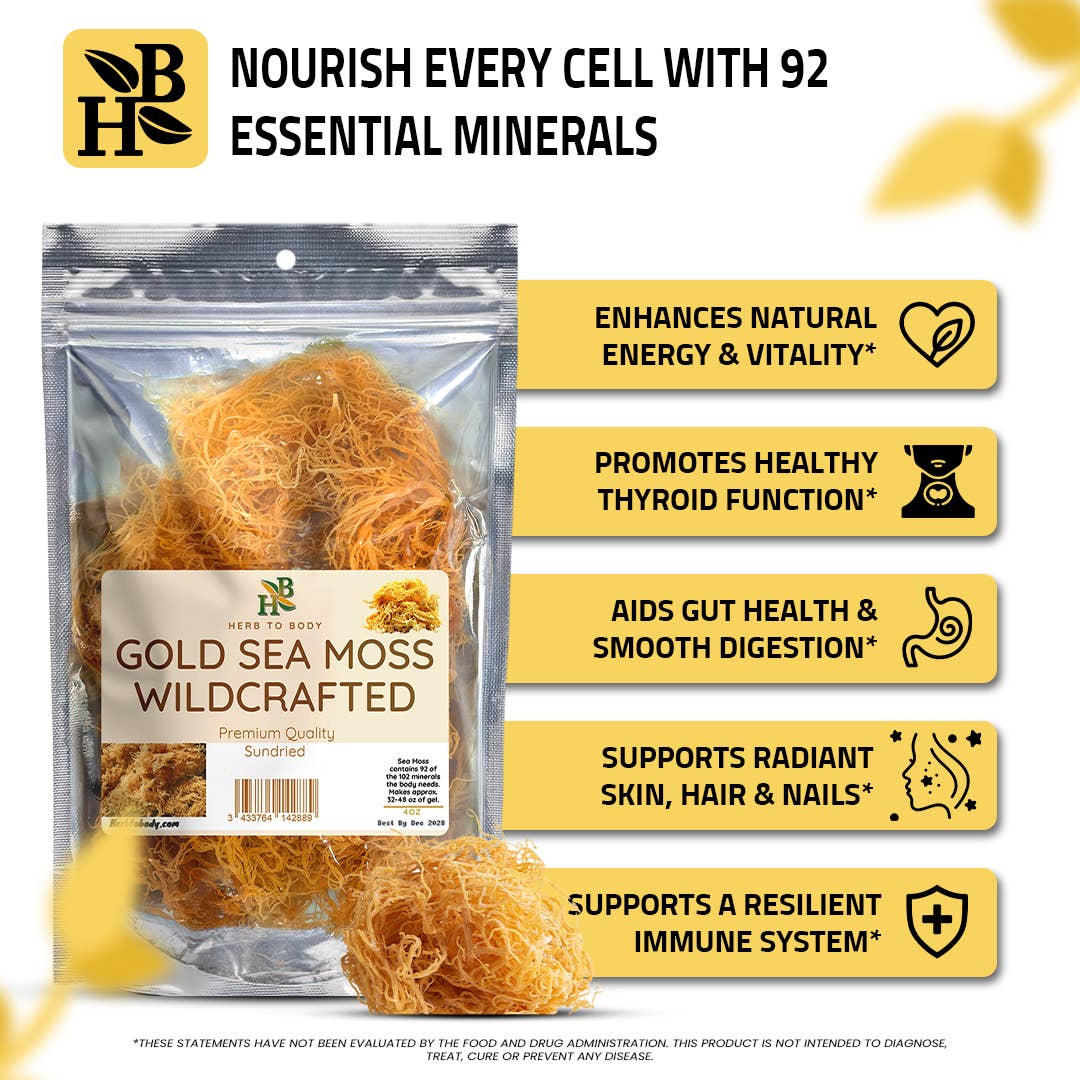 Herb To Body - Wholesale Herbs - Gold Sea Moss (Dry) -  Wildcrafted From Caribbean 4oz2