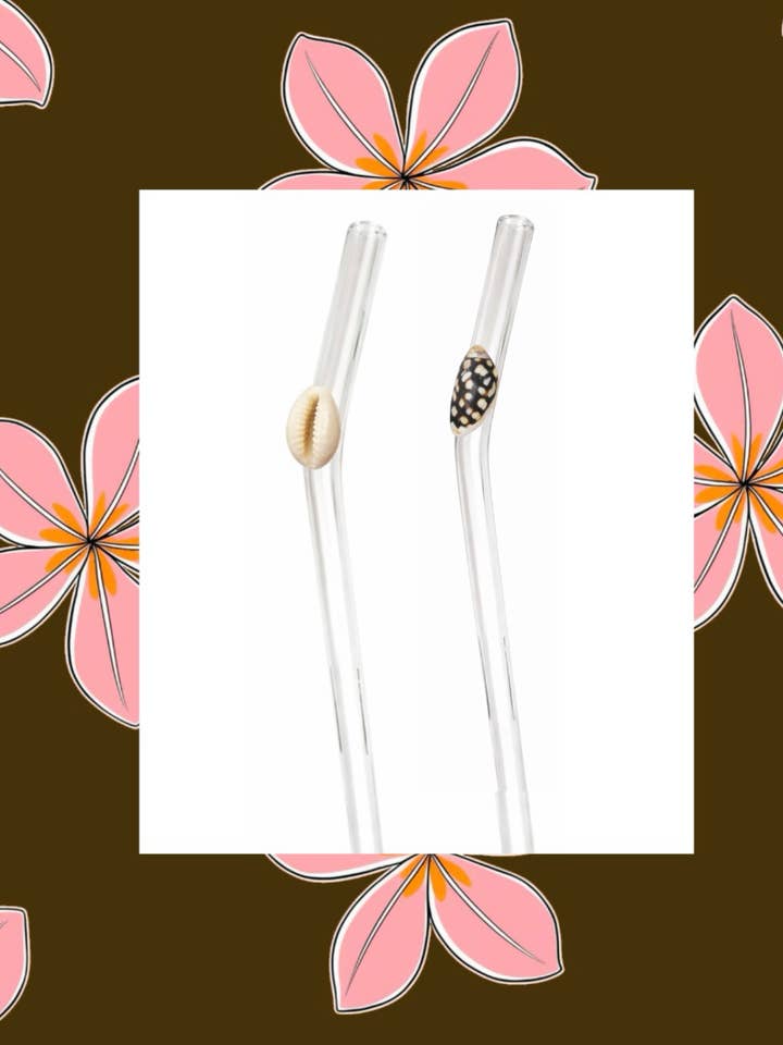 Shell Lovers Glass Straw Set for wholesale by The Coconut Collective