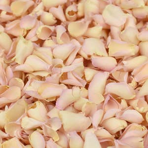 Purchase Wholesale organic rose petals. Free Returns & Net 60 Terms on Faire