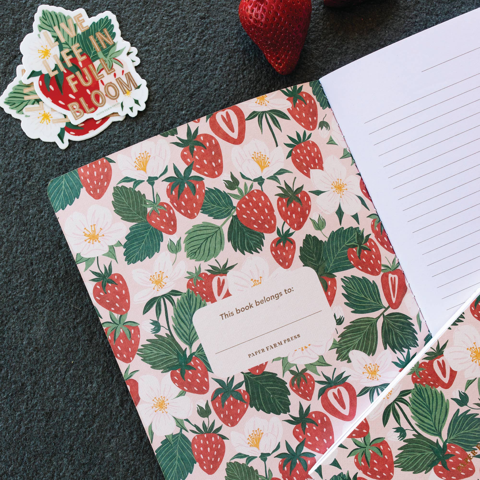 Paper Farm Press - Wholesale Notebook - Live Life in Full Bloom Strawberry Patch Stitched Notebook2