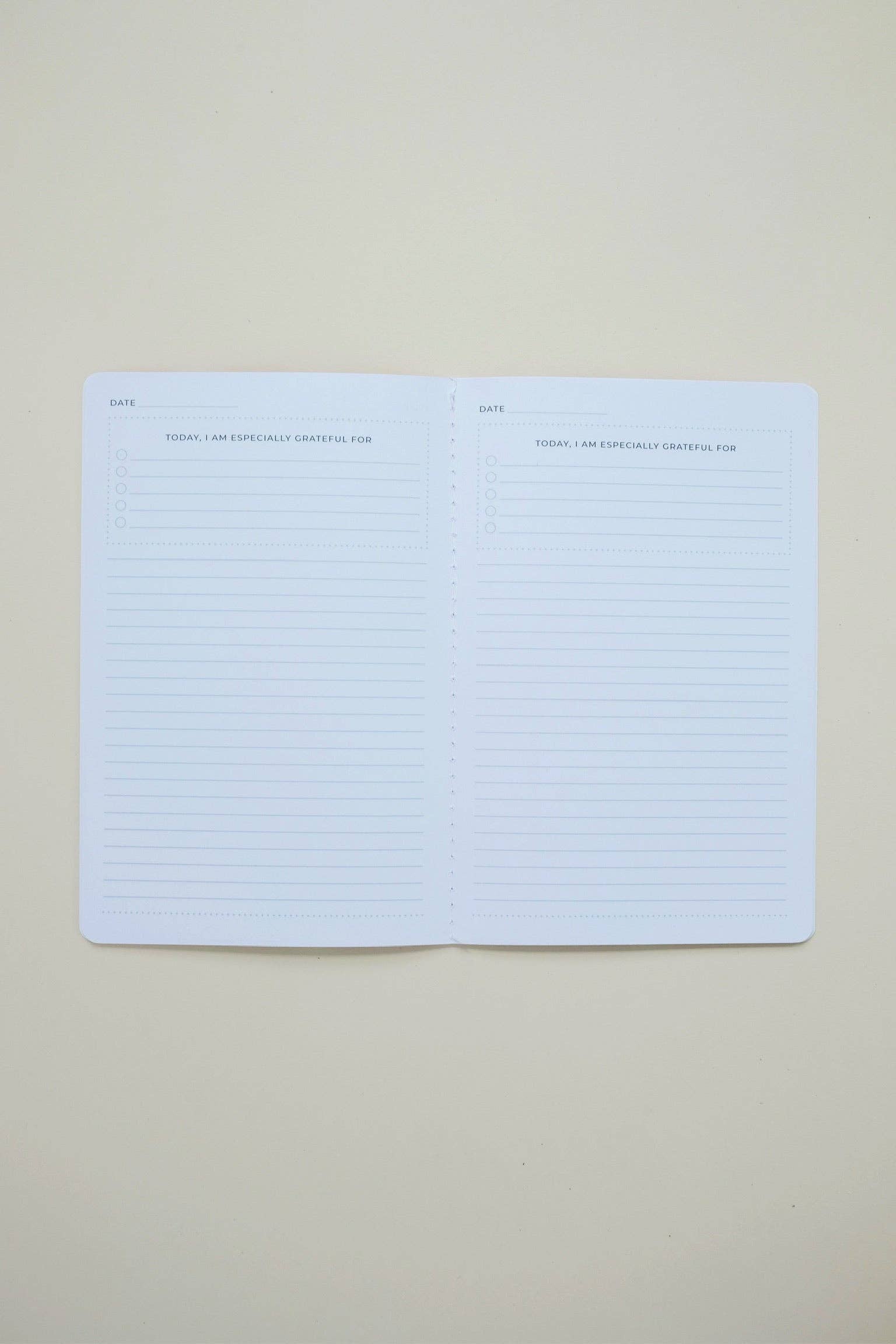 A BEST DAY - Vente Journal intime - JOURNAL DE GRATITUDE BLOOMS1