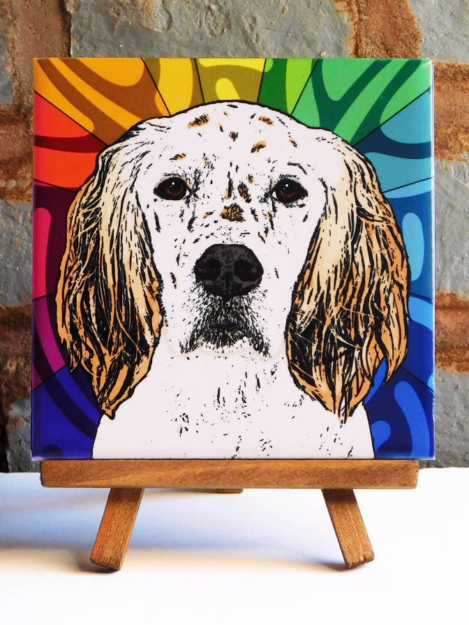 Piastrella in ceramica inglese Setter per la vendita all'ingrosso da parte di Sabyloo