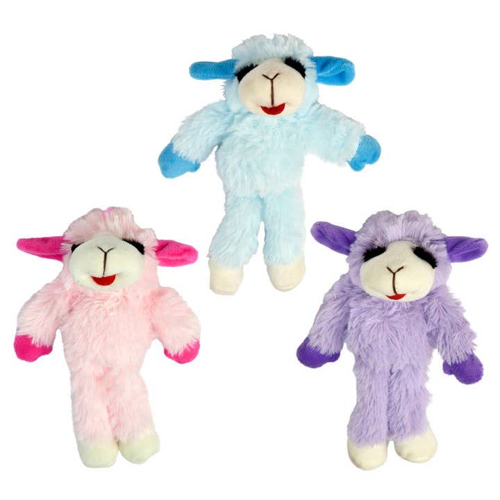Pet Palette Distribution - Wholesale Pet Plush Toy - Dog - Pet Envy Floppy Lamb Chop Plush Dog Toy Assorted Colors 7"