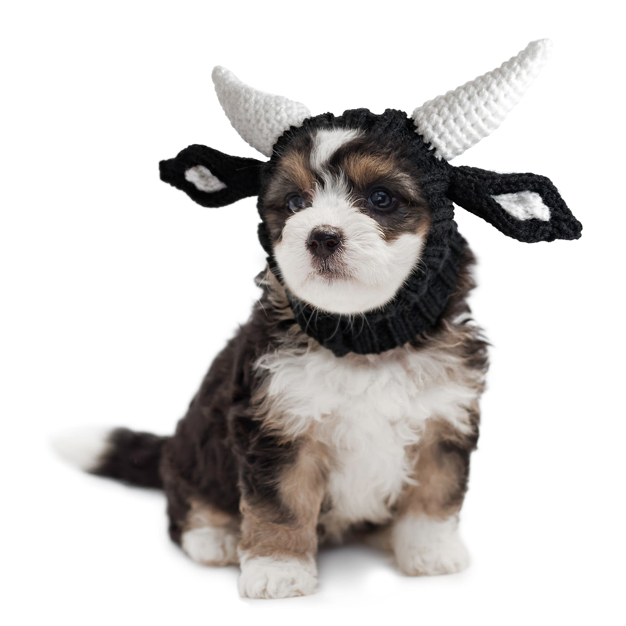 Zoo Snoods - Vente Tour de cou – chien - Snood pour bouledogue0