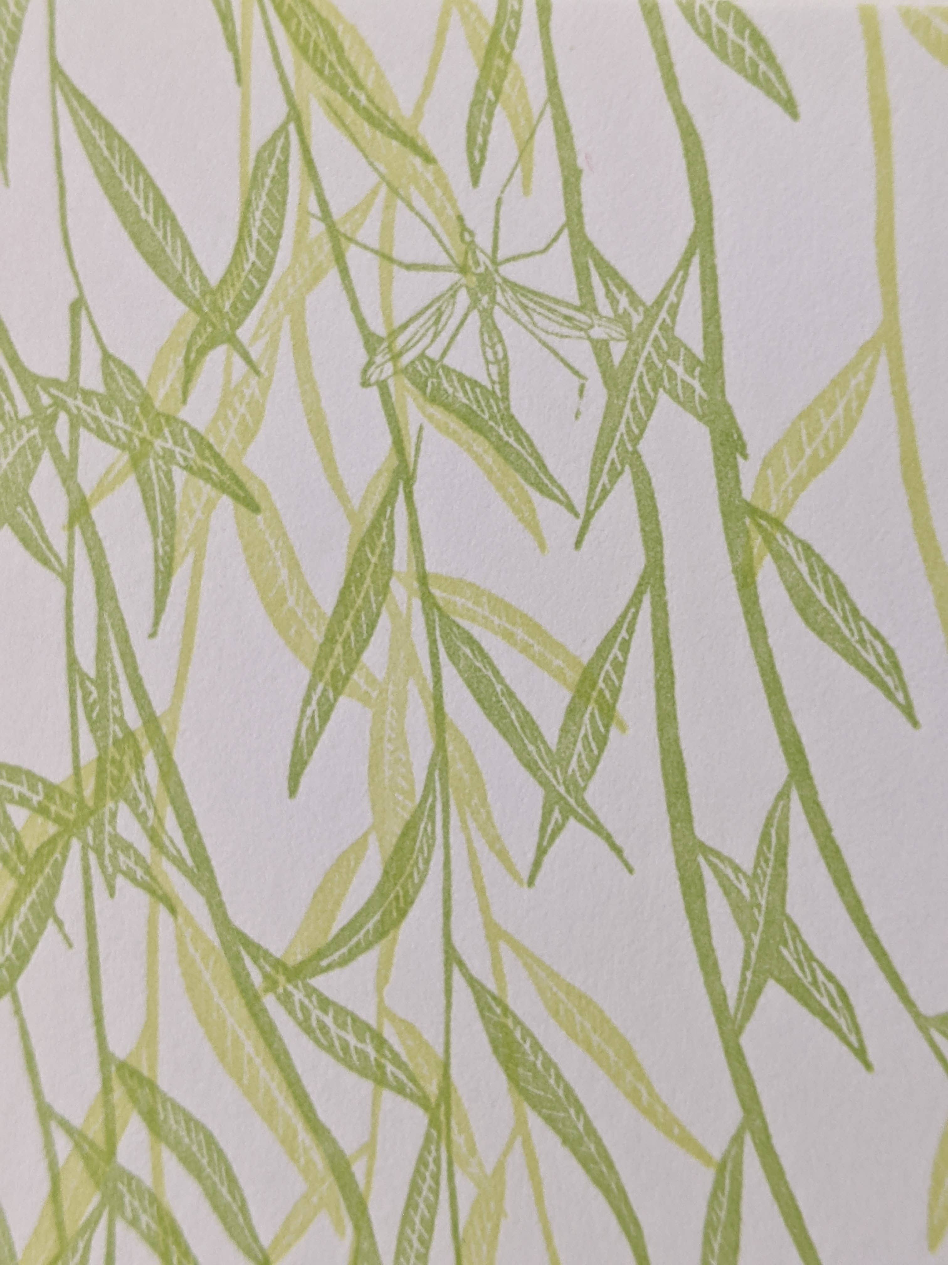 Painted Tongue Press - Wholesale Sympathy Card - Willow Sympathy and Blank Note Card2