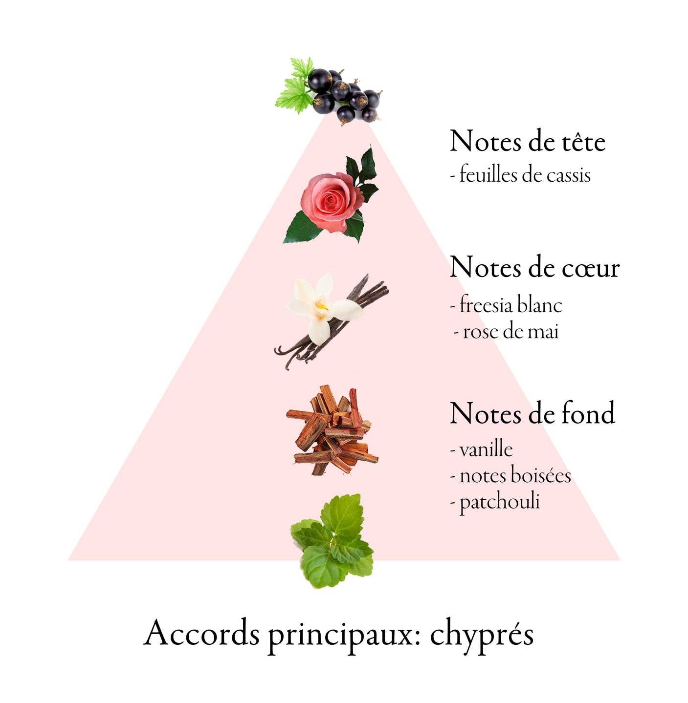 FAMILLE GRASSE PARFUMS - Wholesale Perfume/Eau de Toilette - LOVE AND BE WITH ME eau de parfum for women 75ml3