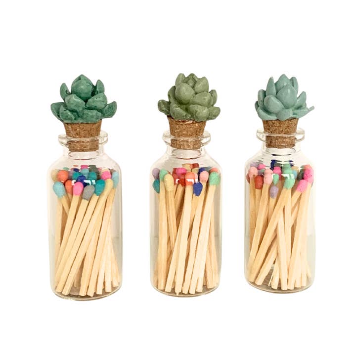 Succulent Match Jar for wholesale by Awkward Auntie