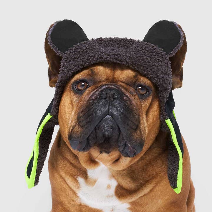 Canada Pooch - Wholesale Pet Hat - Dog - Cool Factor Aviator Hat 0