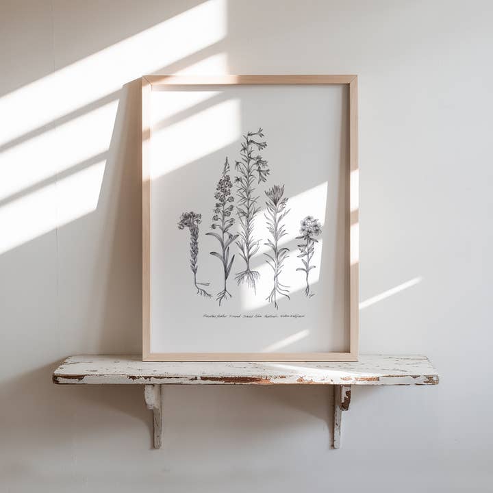 Vanee.ink - Wholesale Art Print - Alpine Wildflowers Print4