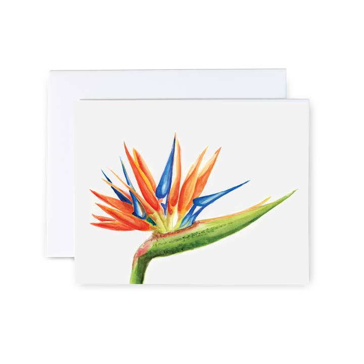 Birds of Paradise Card - Single for wholesale by Tram Colwin Studio