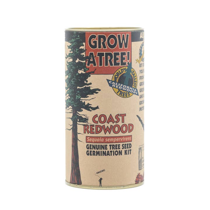 The Jonsteen Company - Wholesale Plant Seeds - Coast Redwood | Seed Grow Kit