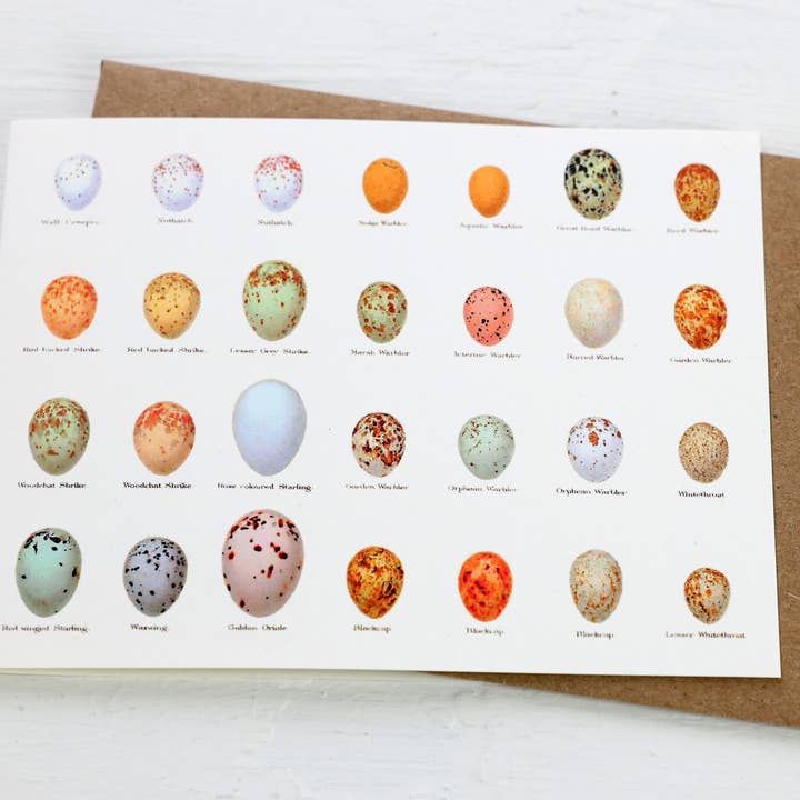 Fairhope Graphics - Wholesale Easter Card - Eggs Card1