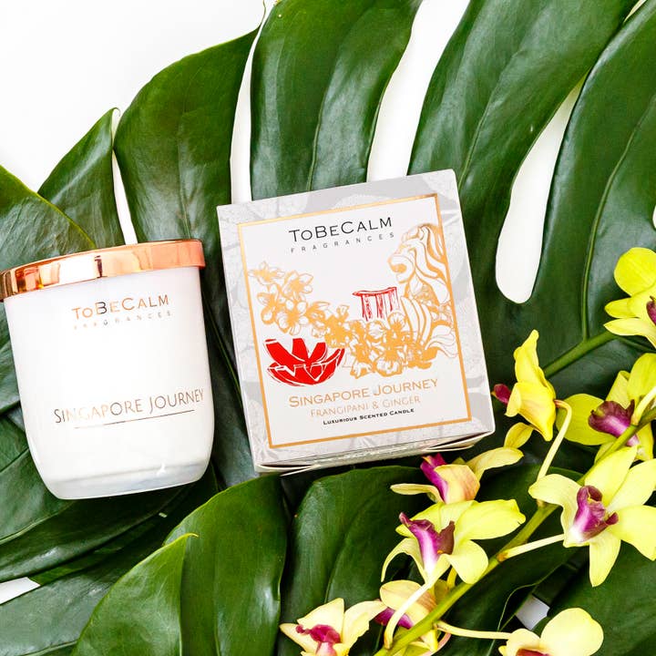 Singapore Journey - Frangipani & Ginger - Medium Soy Candle for wholesale by To Be Calm