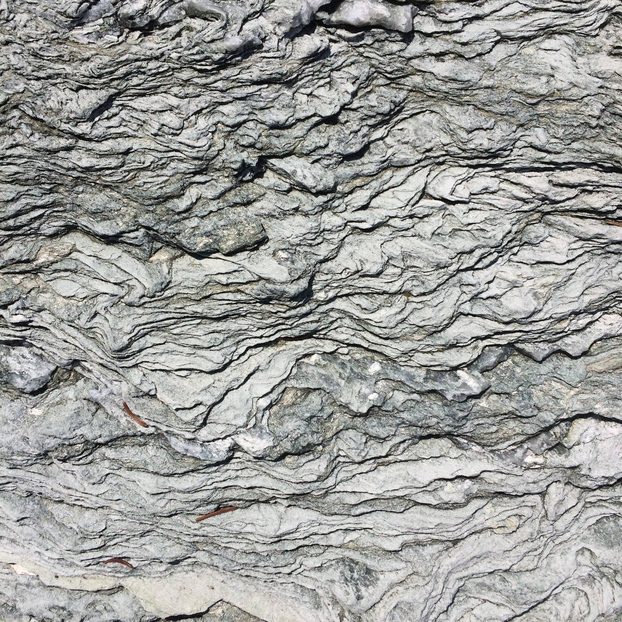 Fresh Pickins - Wholesale Healing Salve/Balm/Cream - Wipeout Balm Sore Muscle (2oz)1